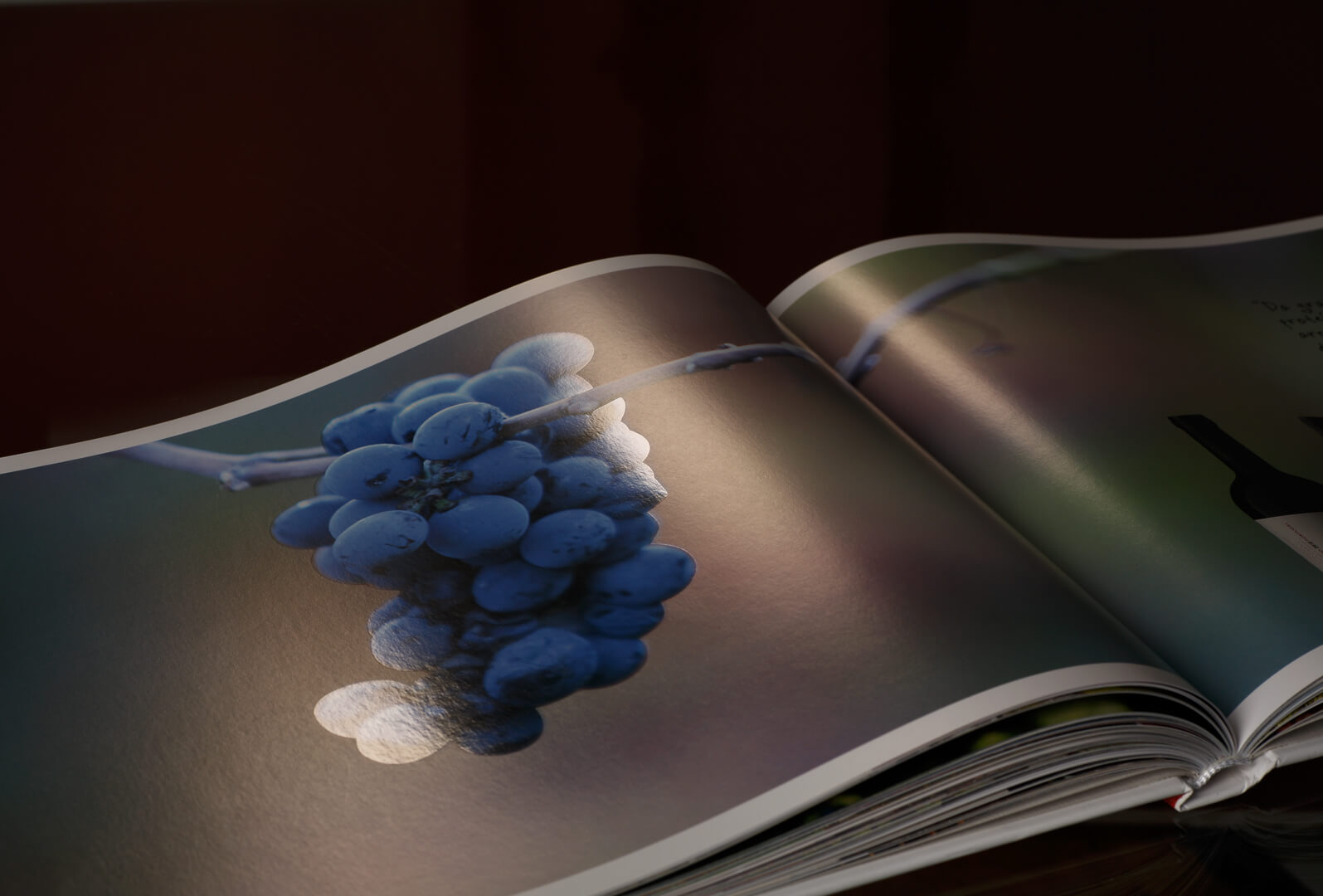 P7_Libro QNNSC