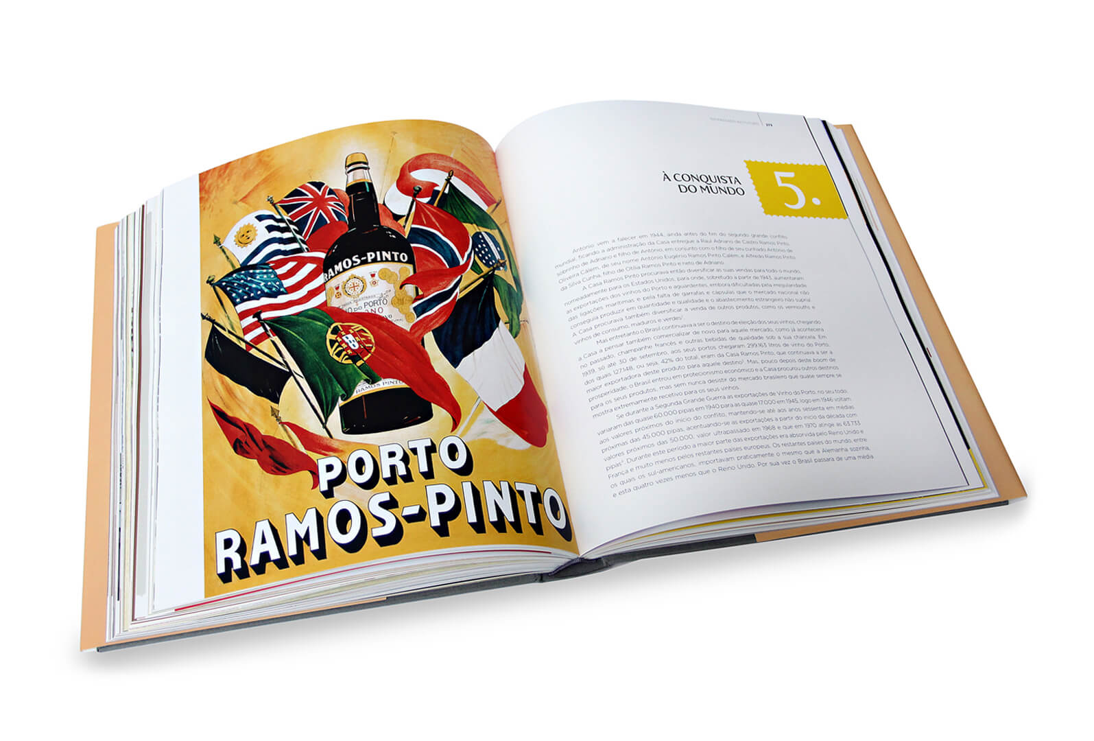 P3_Livro Ramos Pinto
