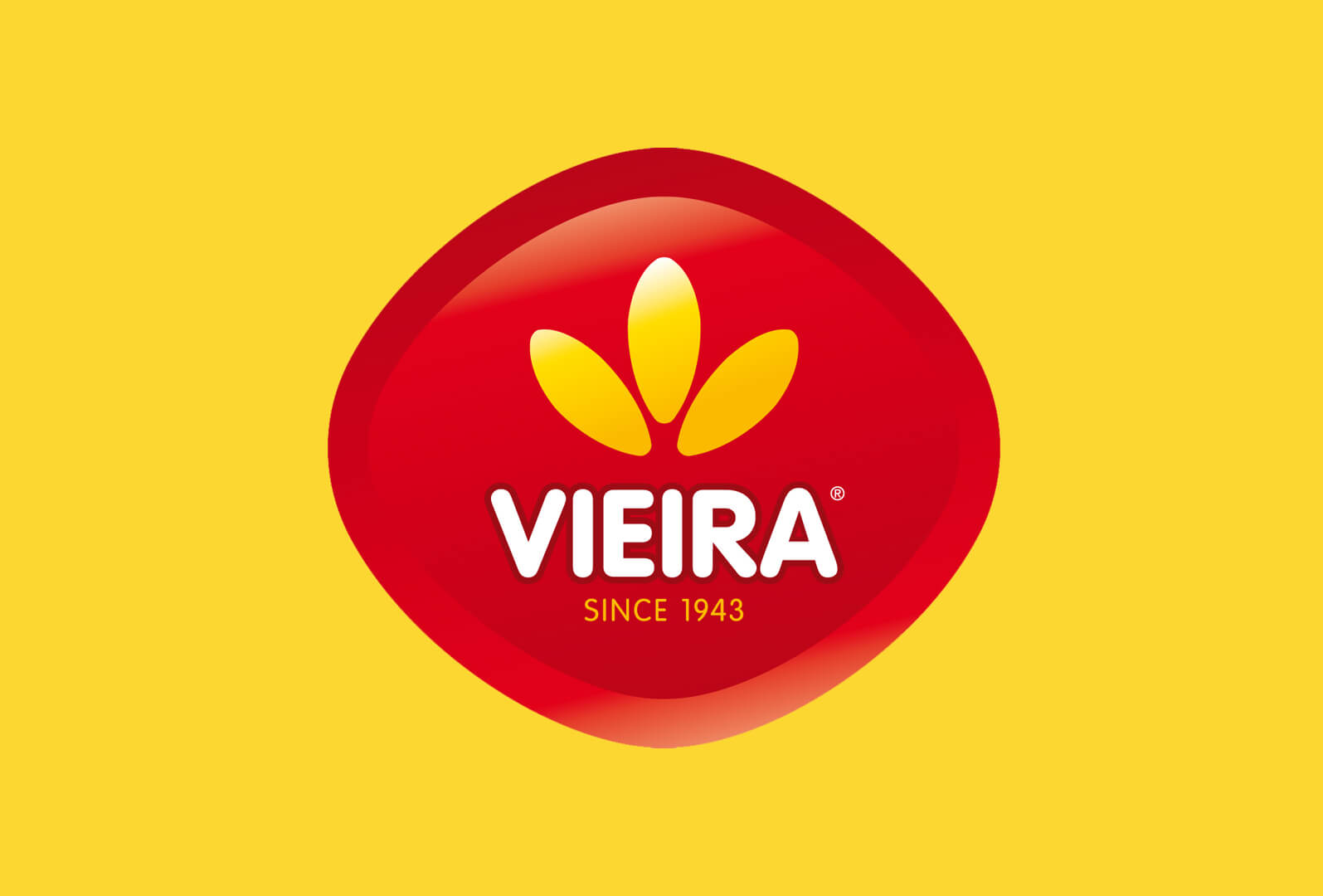 P1_Identity Vieira