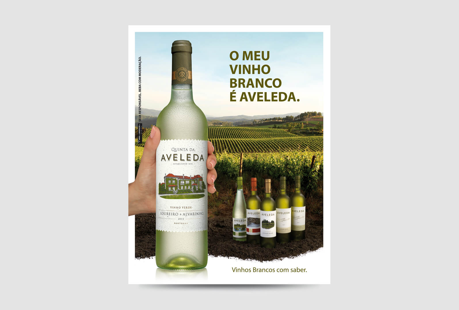 P2_Campaign Aveleda 2015/2016