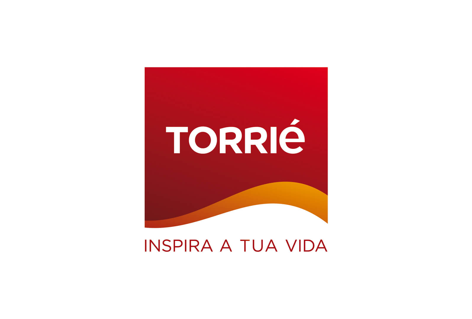 P1_ Identité Torrié