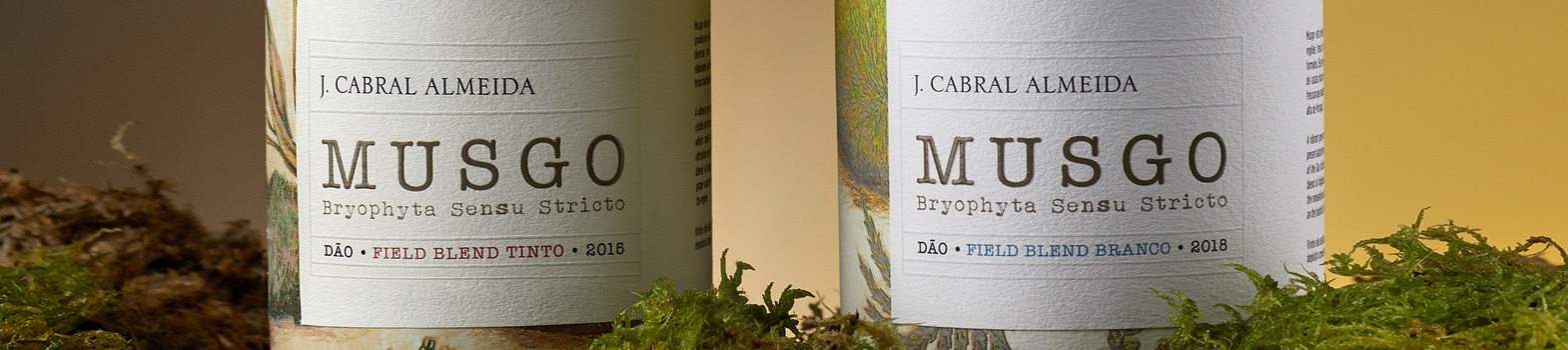Musgo em destaque no Packaging of the World