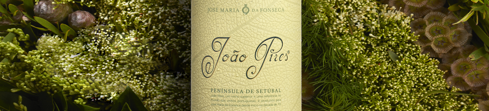Omdesign signs the rebranding of João Pires wine