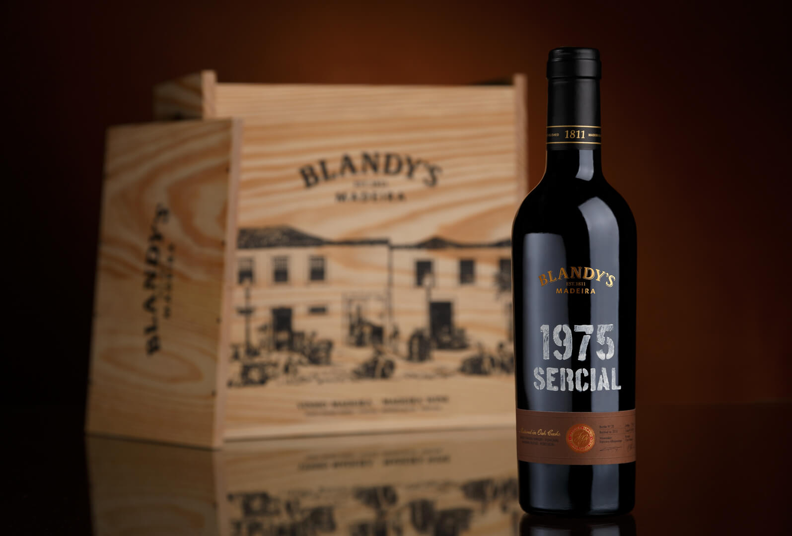 P6_Rebranding Blandy's