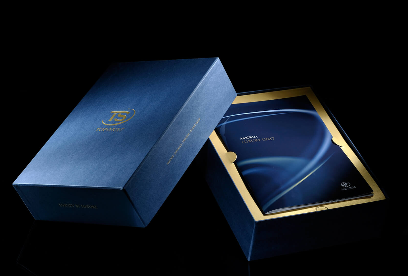 P2_Amorim Top Series